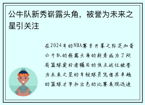 公牛队新秀崭露头角，被誉为未来之星引关注